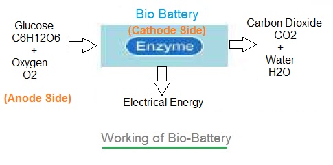 Bio Battery Seminar Report Pdf